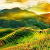 Beauté de Mu Cang Chai et Sapa 4 jours